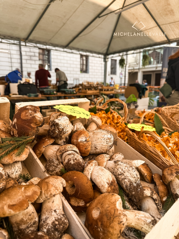 funghi di Ceva