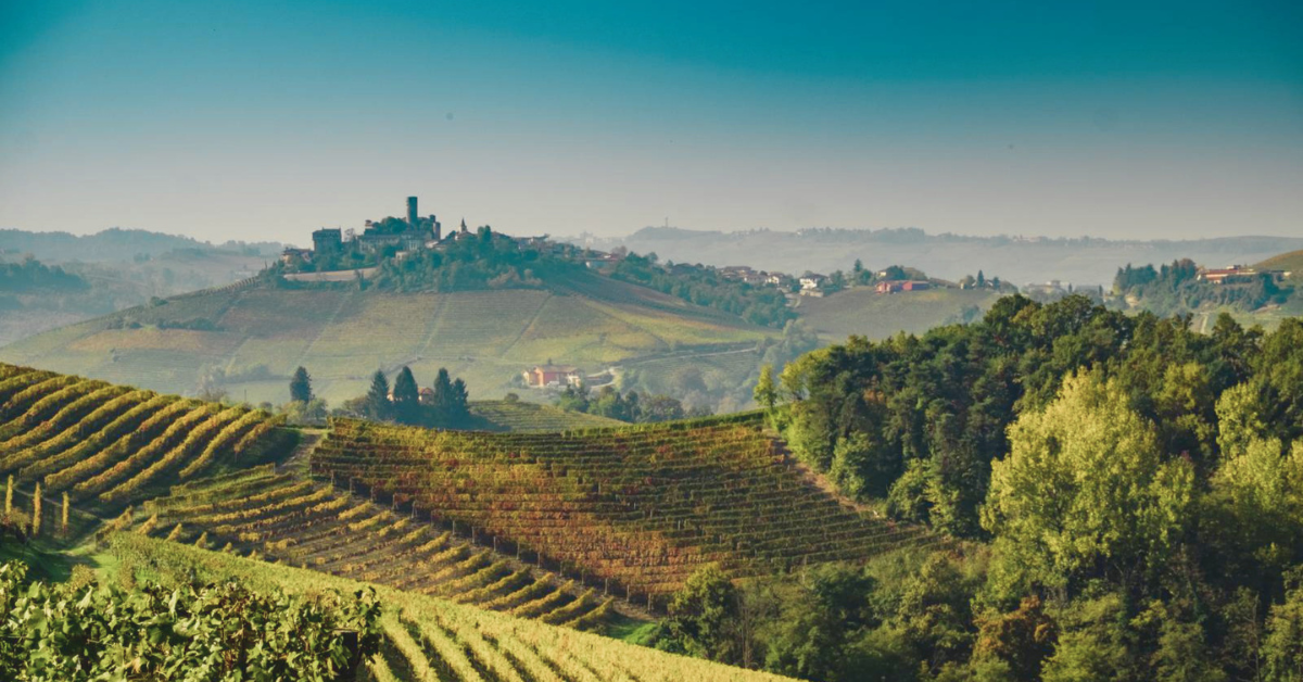 Les Langhe : que voir, savoir et déguster